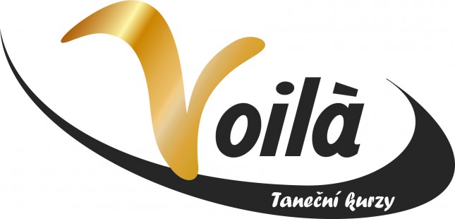 Logo TS Voila