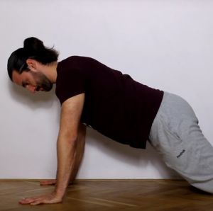chaturanga