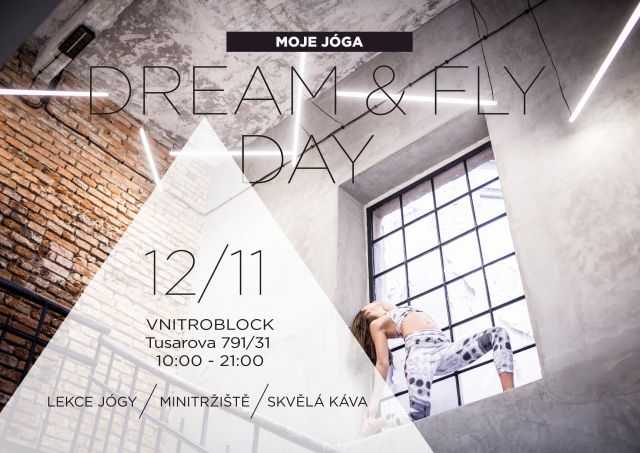dream-fly-day