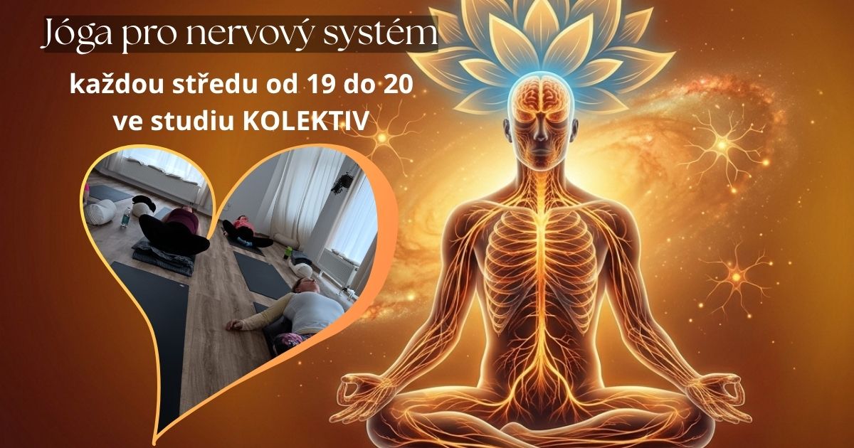 Postava ve zkříženém sedu s vyznačenými základními anatomickými prvky a zdůrazněnou nervovou soustavou. V srdíčku lidé v šavásaně.